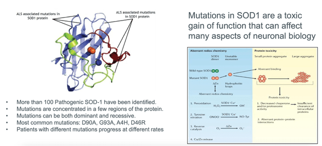 Mutations in SOD1