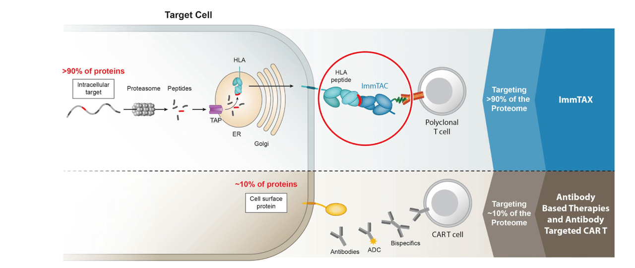 Mechanism