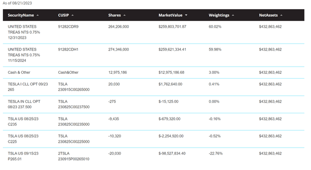 TSLY current holdings