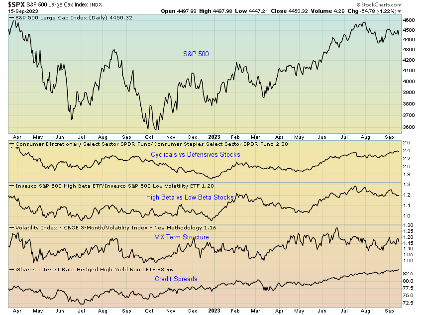 S&P 500 Large Cap Index