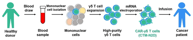 CTM-N2D Process